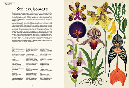 Okładka książki Botanicum