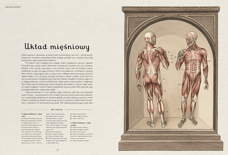 Strony książki Anatomicum