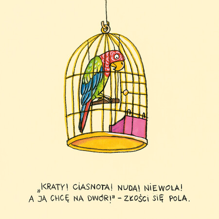 Okładka książki Pola z ulicy Czereśniowej