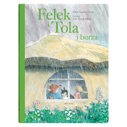 książka Felek i Tola i burza (OUTLET)